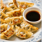 Best Panfried Chicken Dumpling in Katy, TX